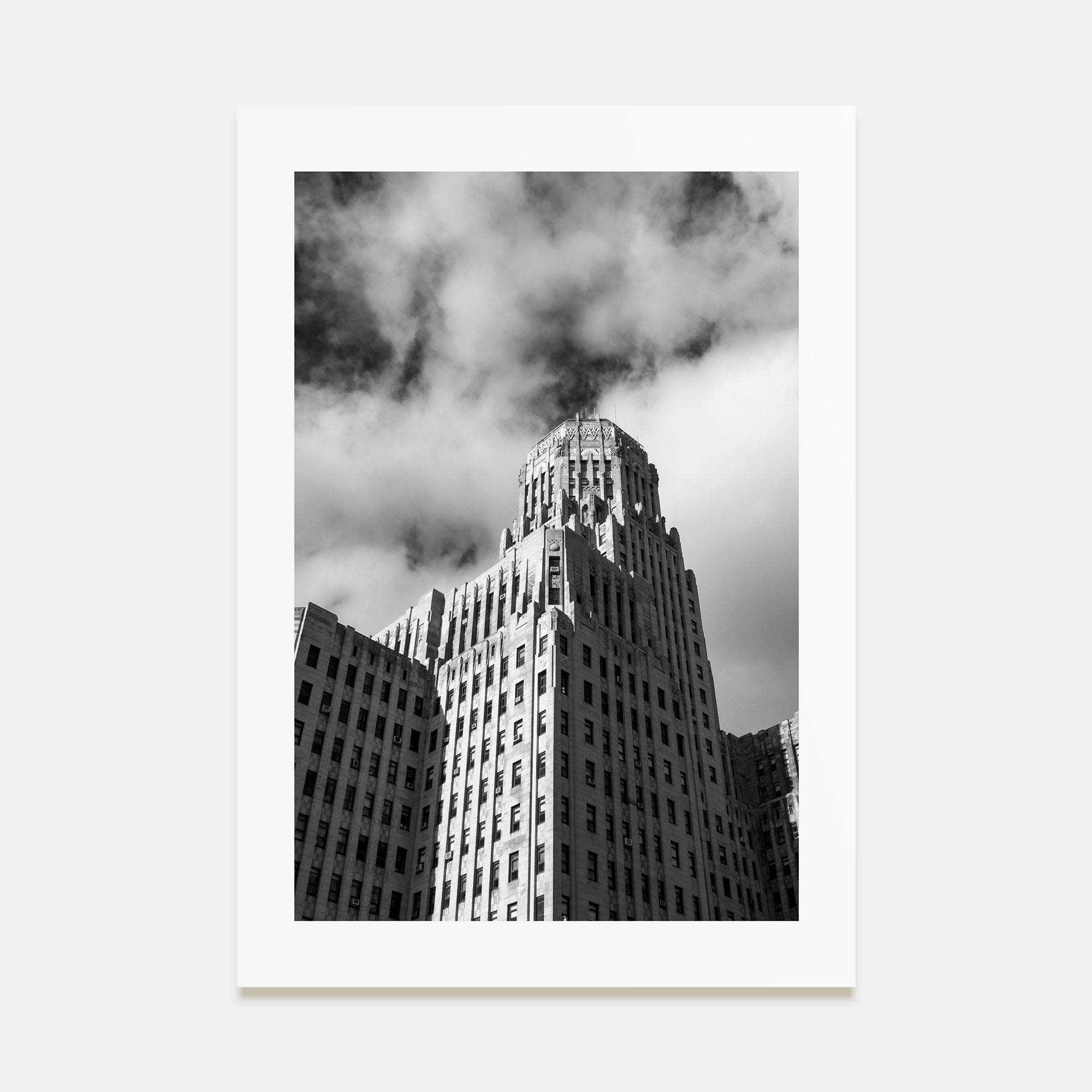Buffalo Photo B&W No 2 Poster