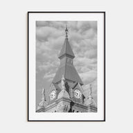 Buffalo Photo B&W No 3 Poster