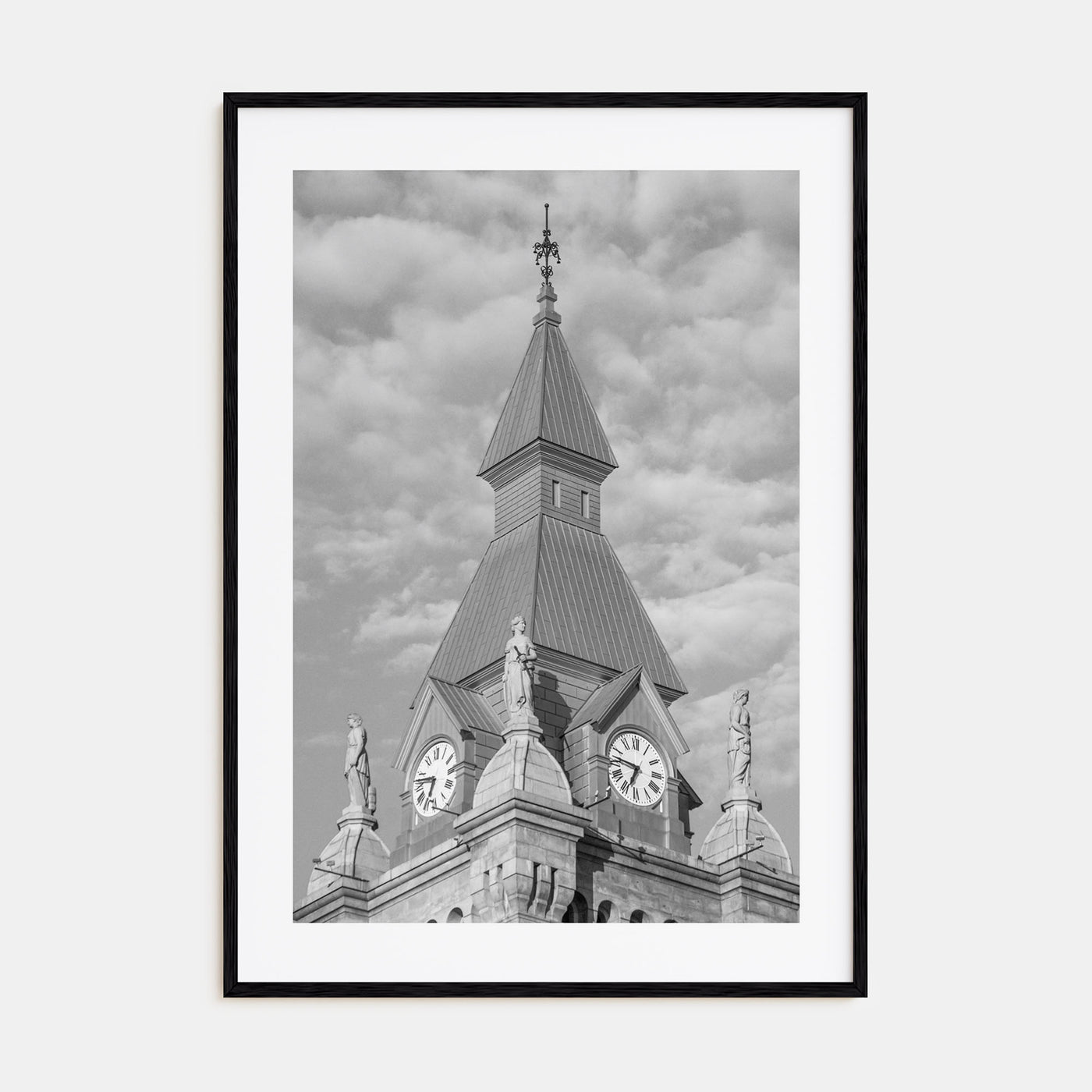 Buffalo Photo B&W No 3 Poster