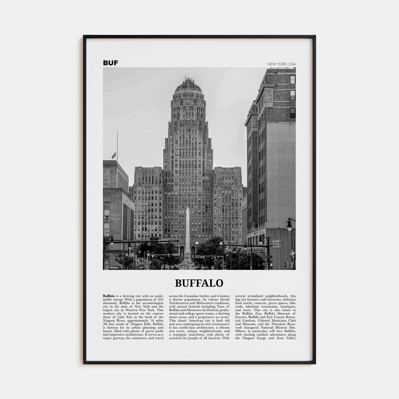 Buffalo Travel B&W No 1 Poster