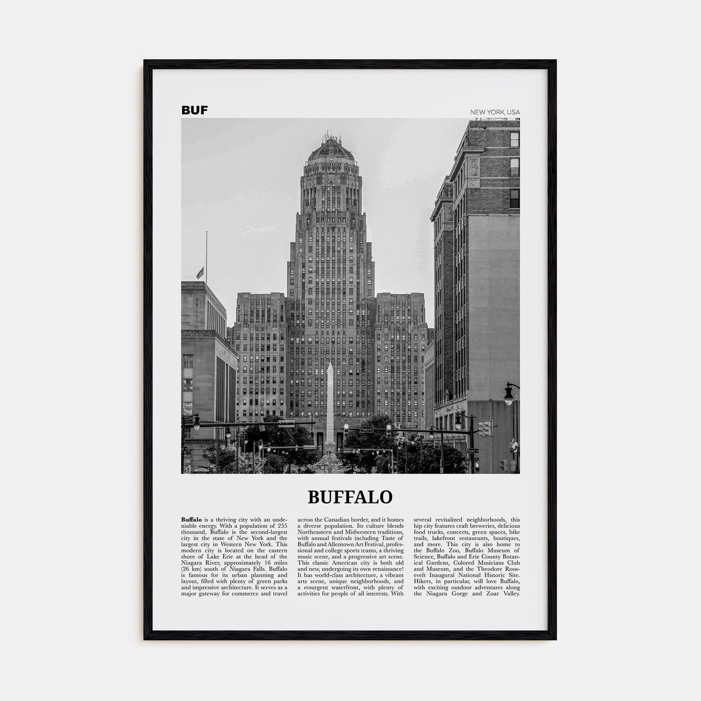 Buffalo Travel B&W No 1 Poster