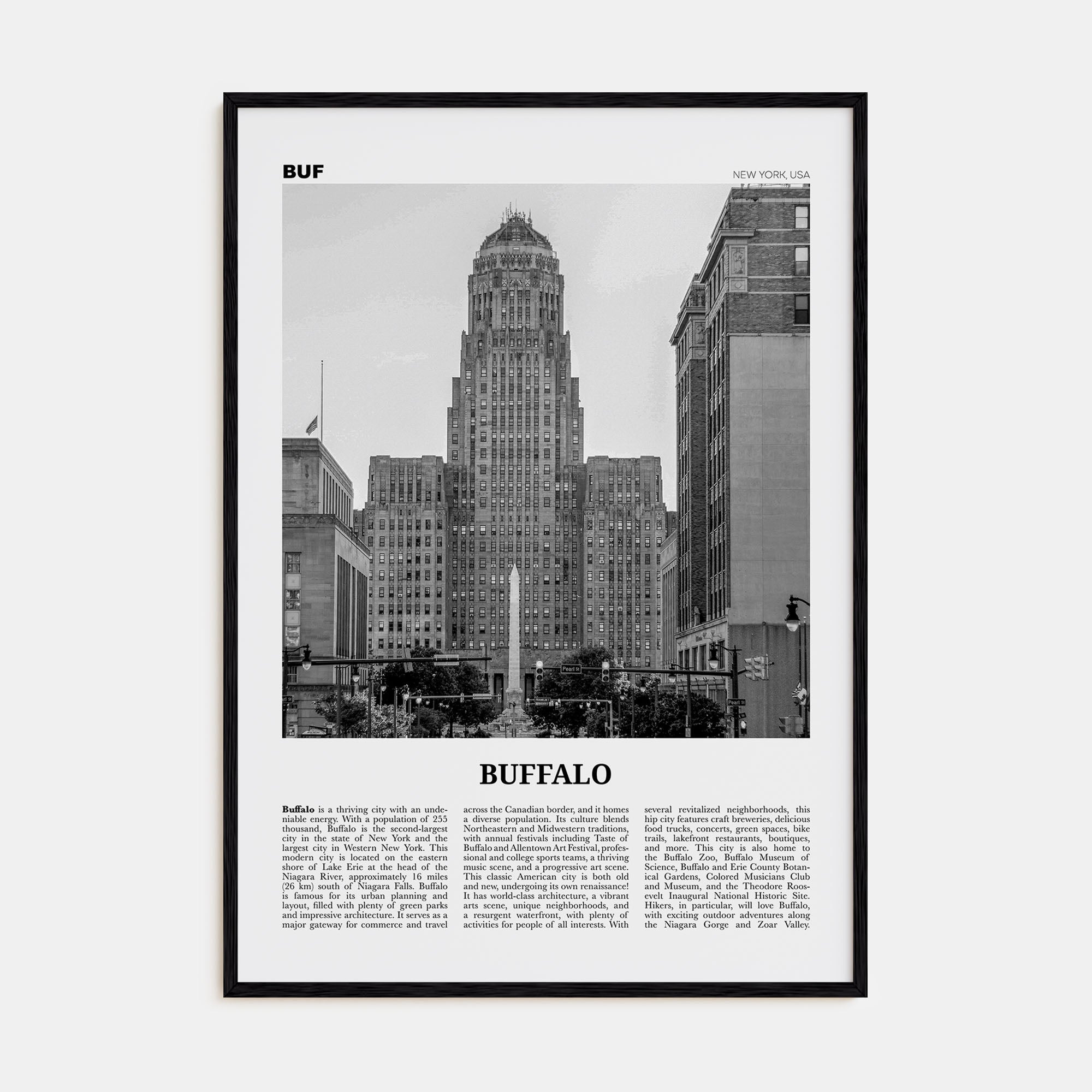 Buffalo Travel B&W No 1 Poster
