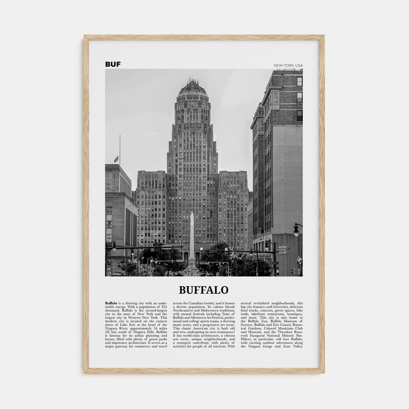 Buffalo Travel B&W No 1 Poster