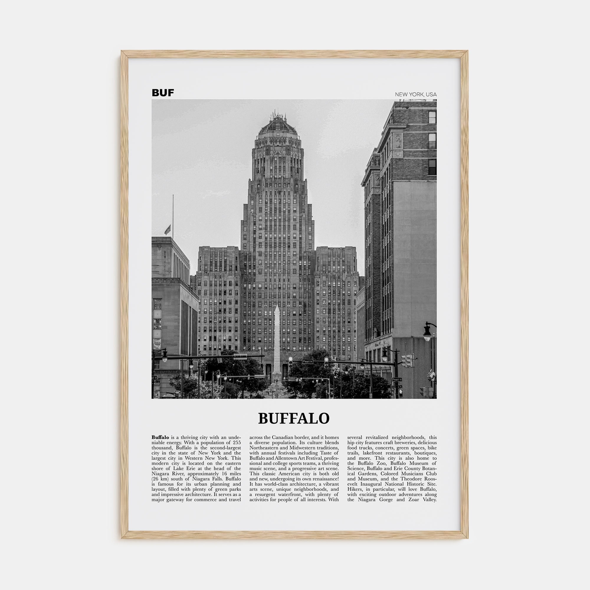 Buffalo Travel B&W No 1 Poster