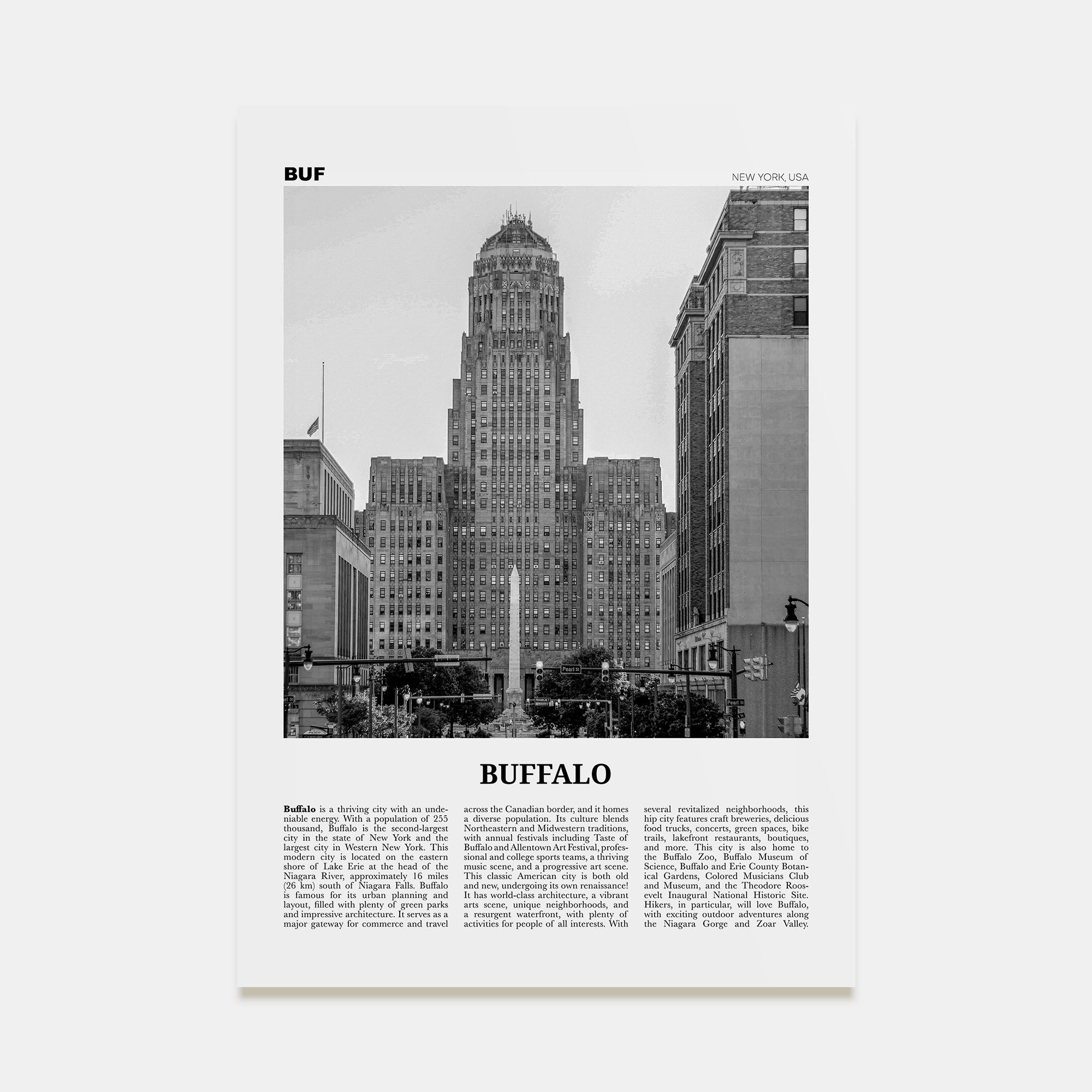 Buffalo Travel B&W No 1 Poster