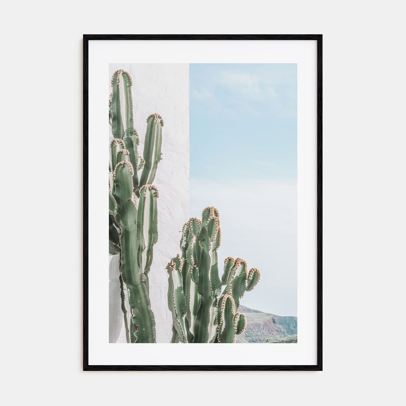 Cactus Photo Color No 1 Poster