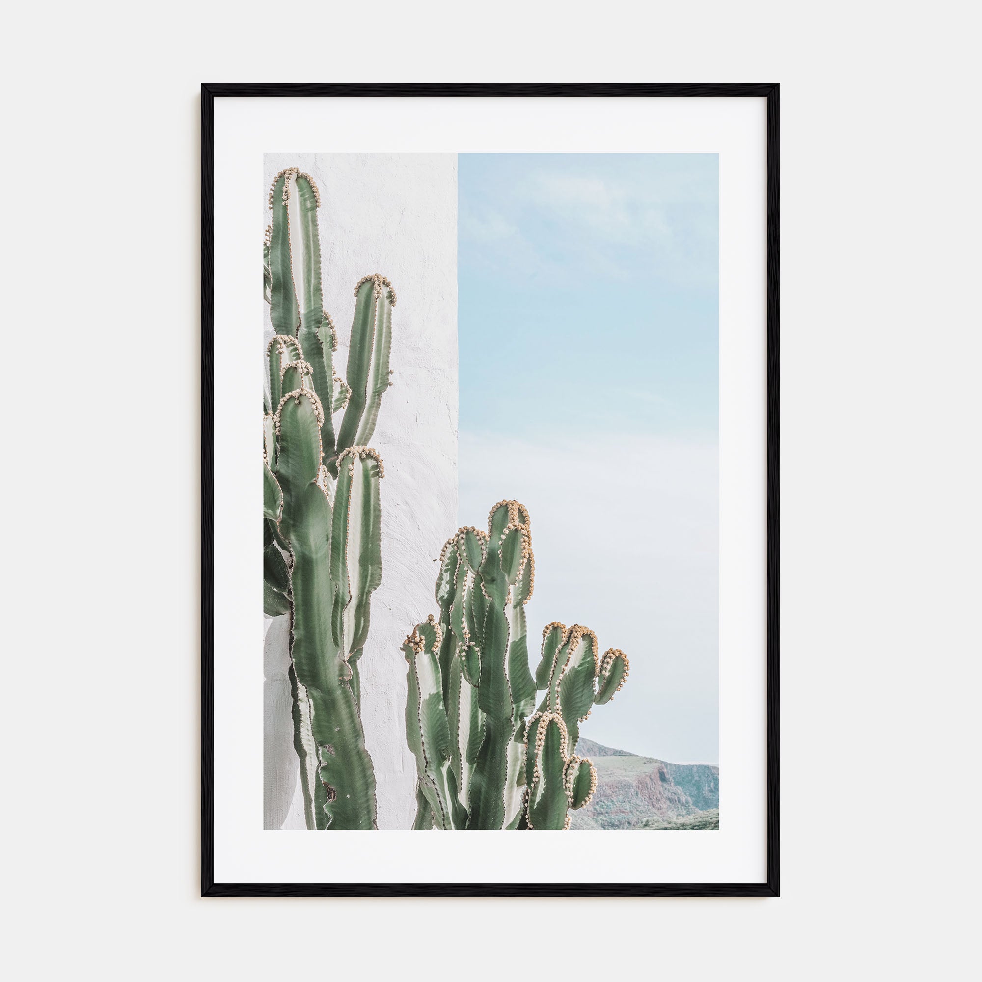 Cactus Photo Color No 1 Poster