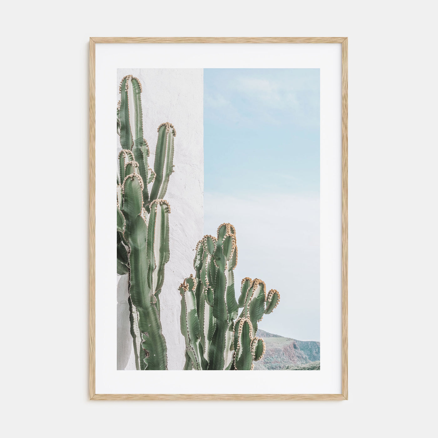 Cactus Photo Color No 1 Poster
