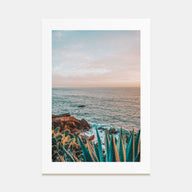 Cactus Photo Color No 3 Poster