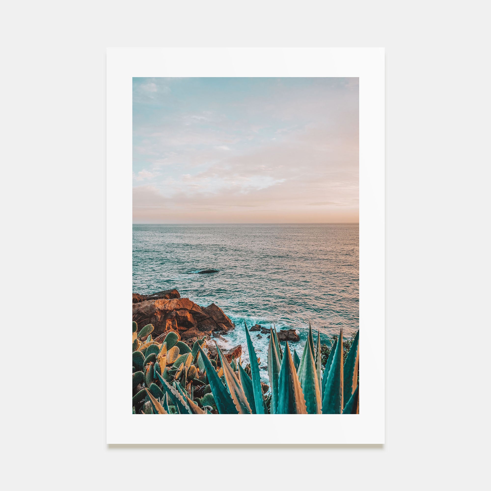 Cactus Photo Color No 3 Poster