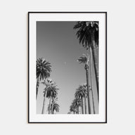 California Photo B&W No 4 Poster