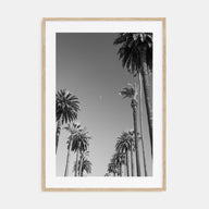 California Photo B&W No 4 Poster