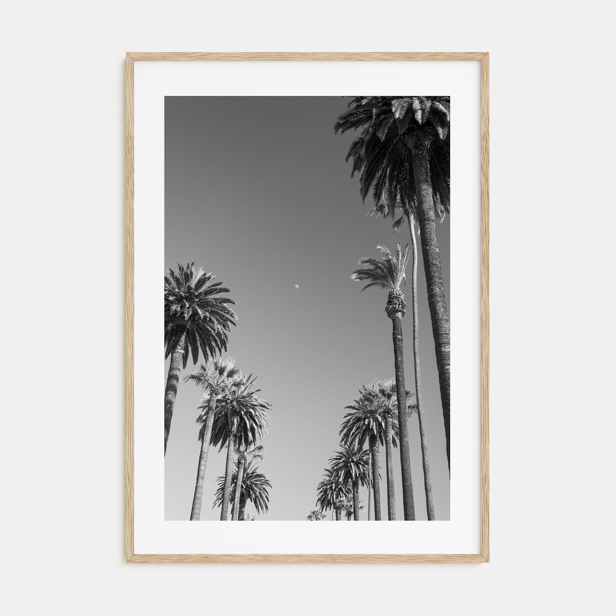 California Photo B&W No 4 Poster