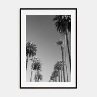 California Photo B&W No 4 Poster