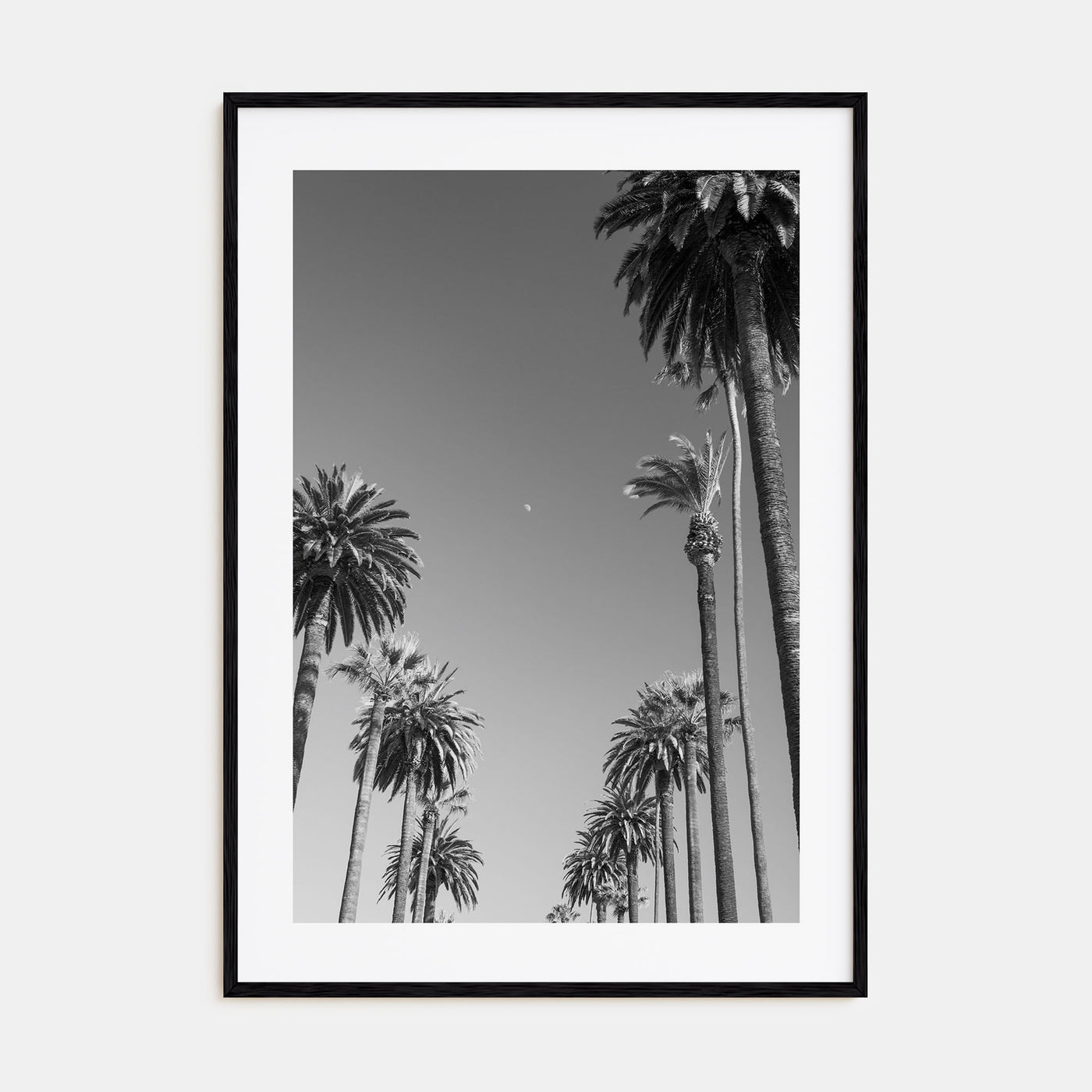 California Photo B&W No 4 Poster