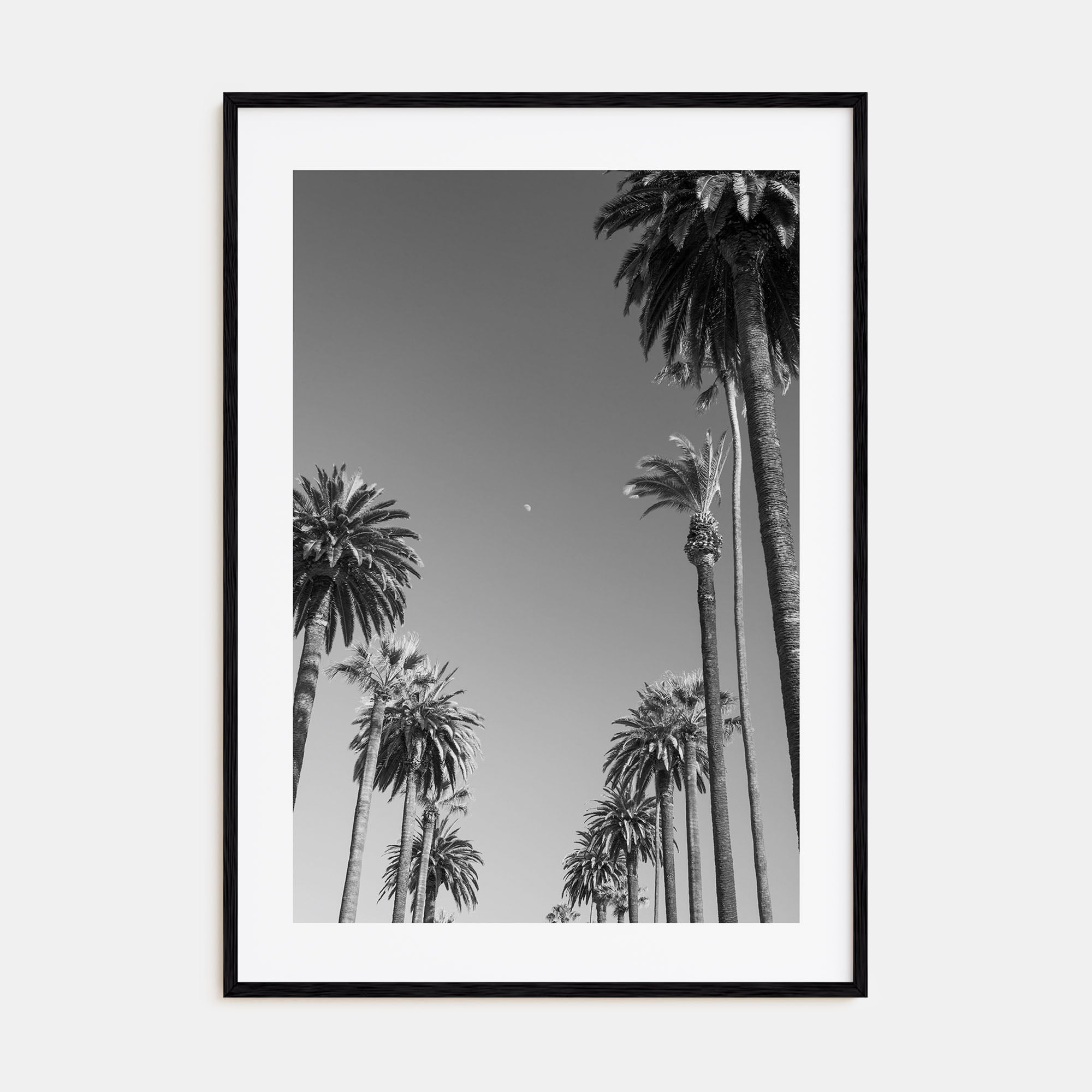 California Photo B&W No 4 Poster