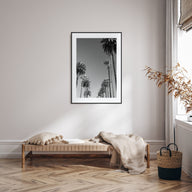 California Photo B&W No 4 Poster