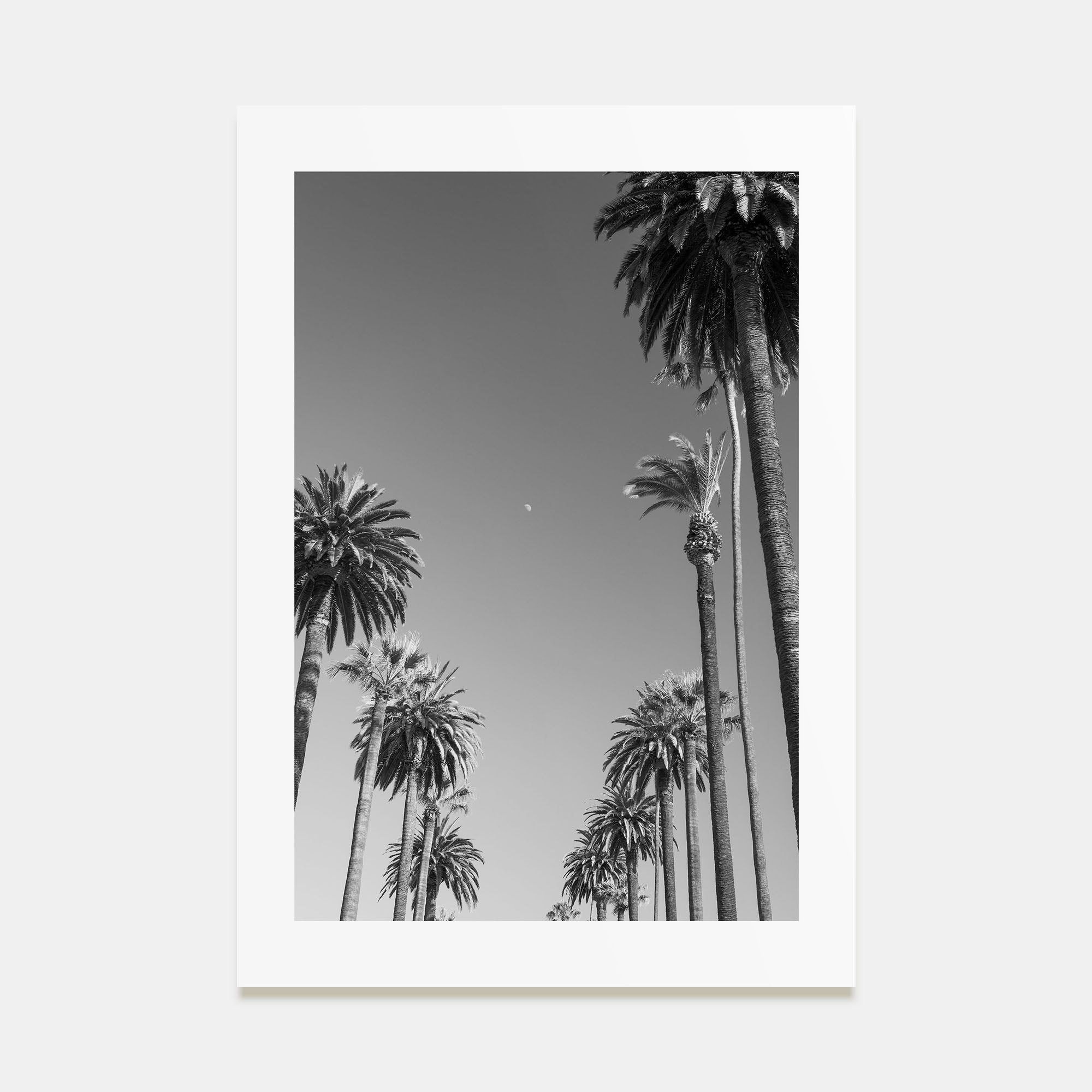 California Photo B&W No 4 Poster