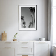 California Photo B&W No 4 Poster
