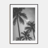 California Photo B&W No 5 Poster