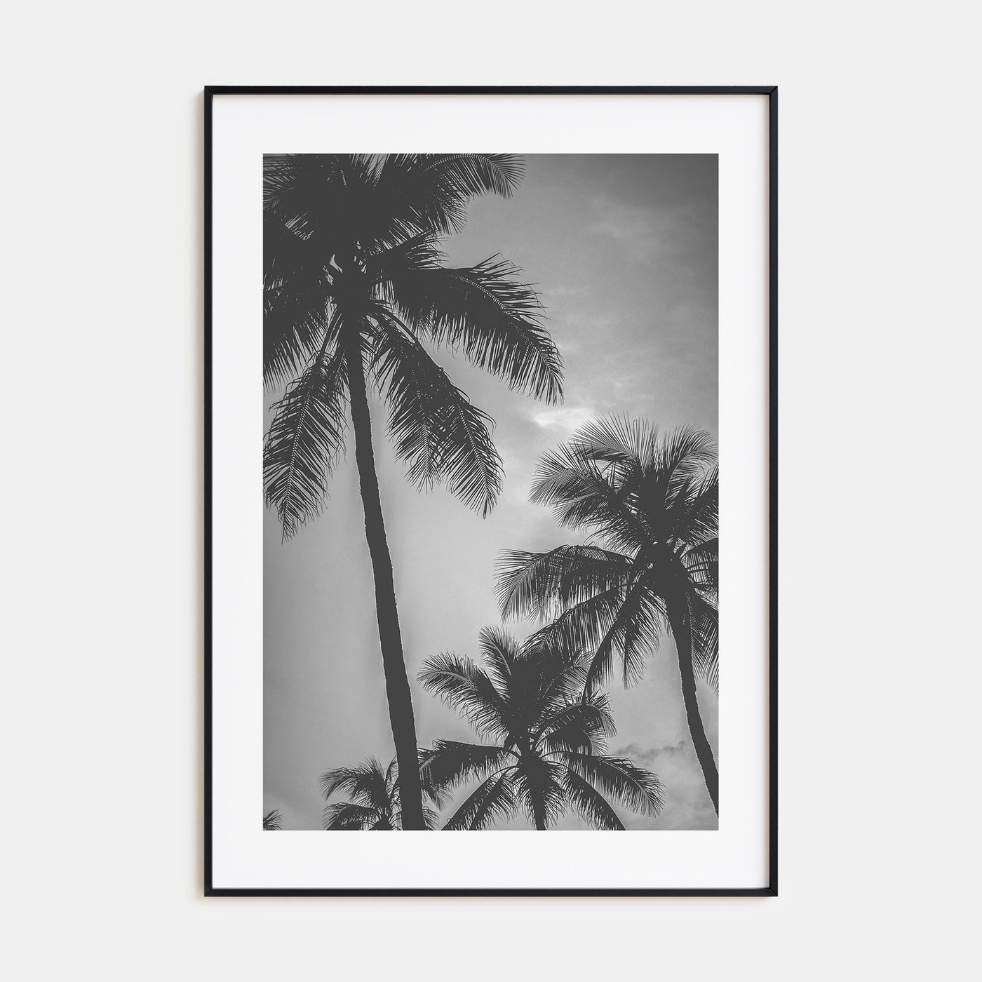 California Photo B&W No 5 Poster