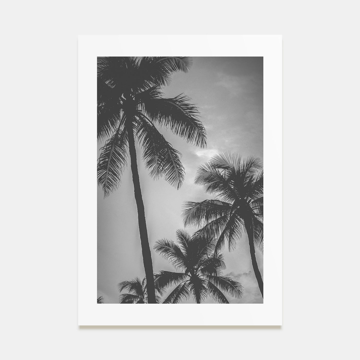 California Photo B&W No 5 Poster