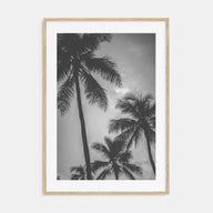 California Photo B&W No 5 Poster