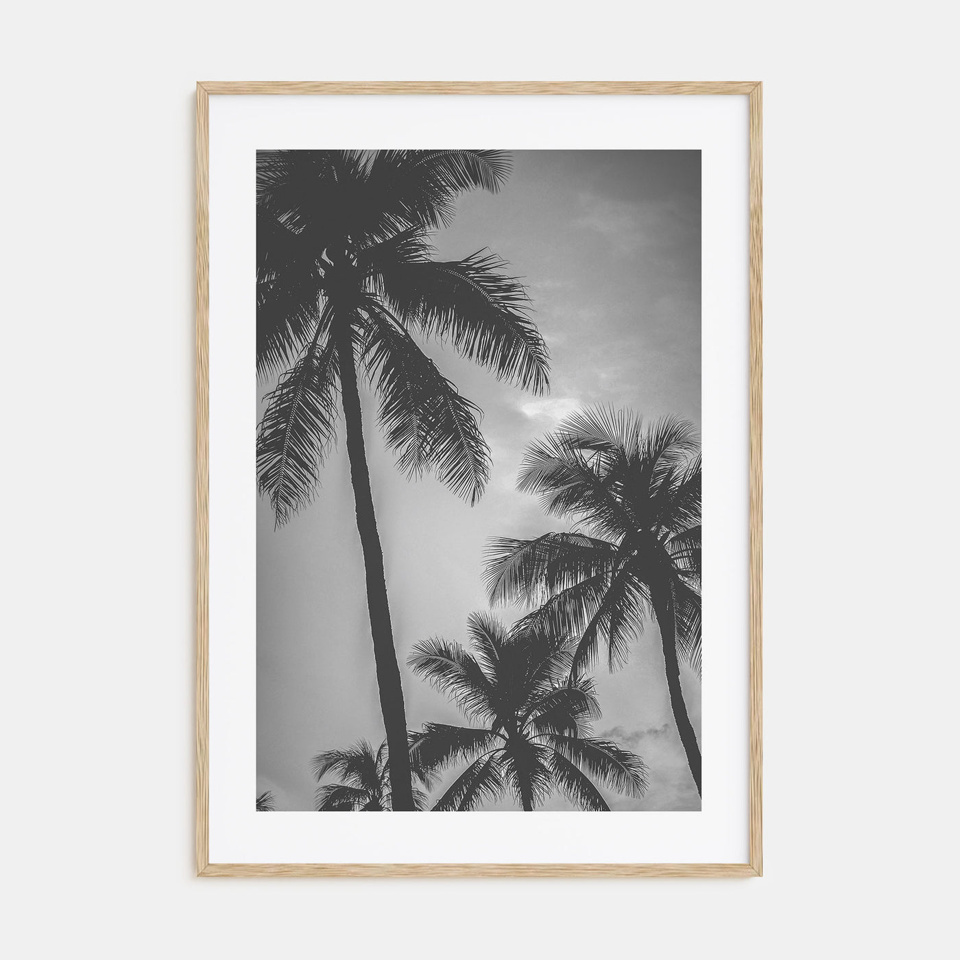 California Photo B&W No 5 Poster