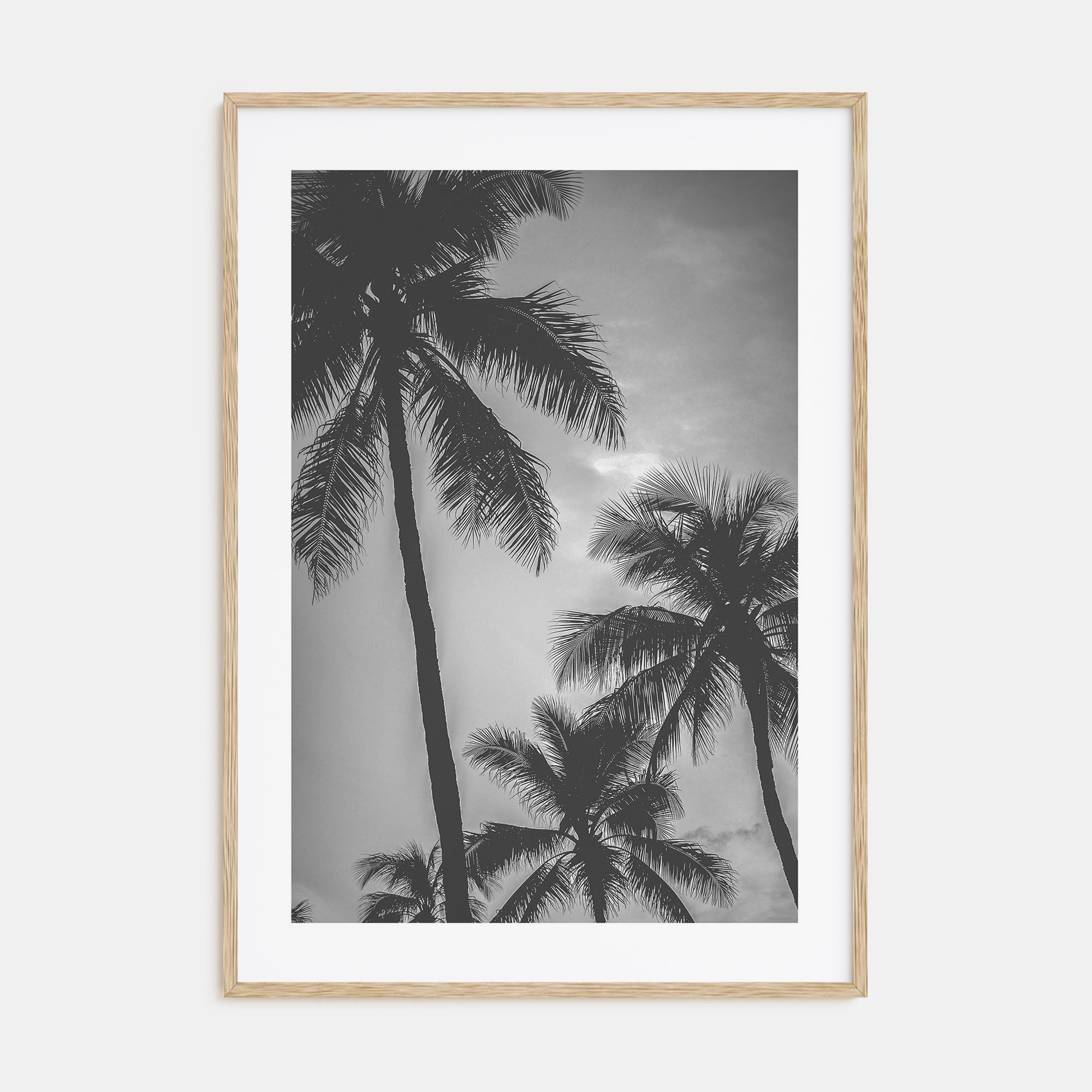 California Photo B&W No 5 Poster