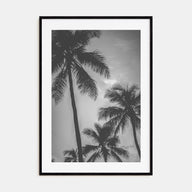 California Photo B&W No 5 Poster