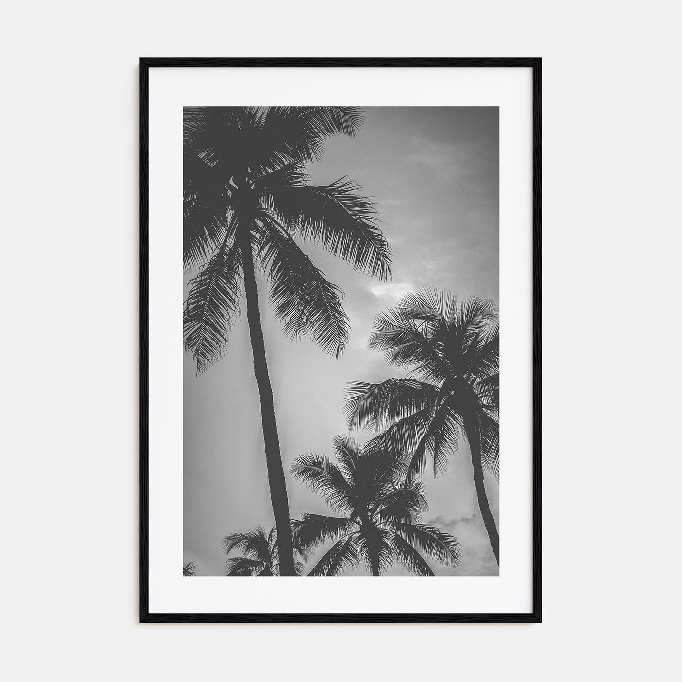 California Photo B&W No 5 Poster