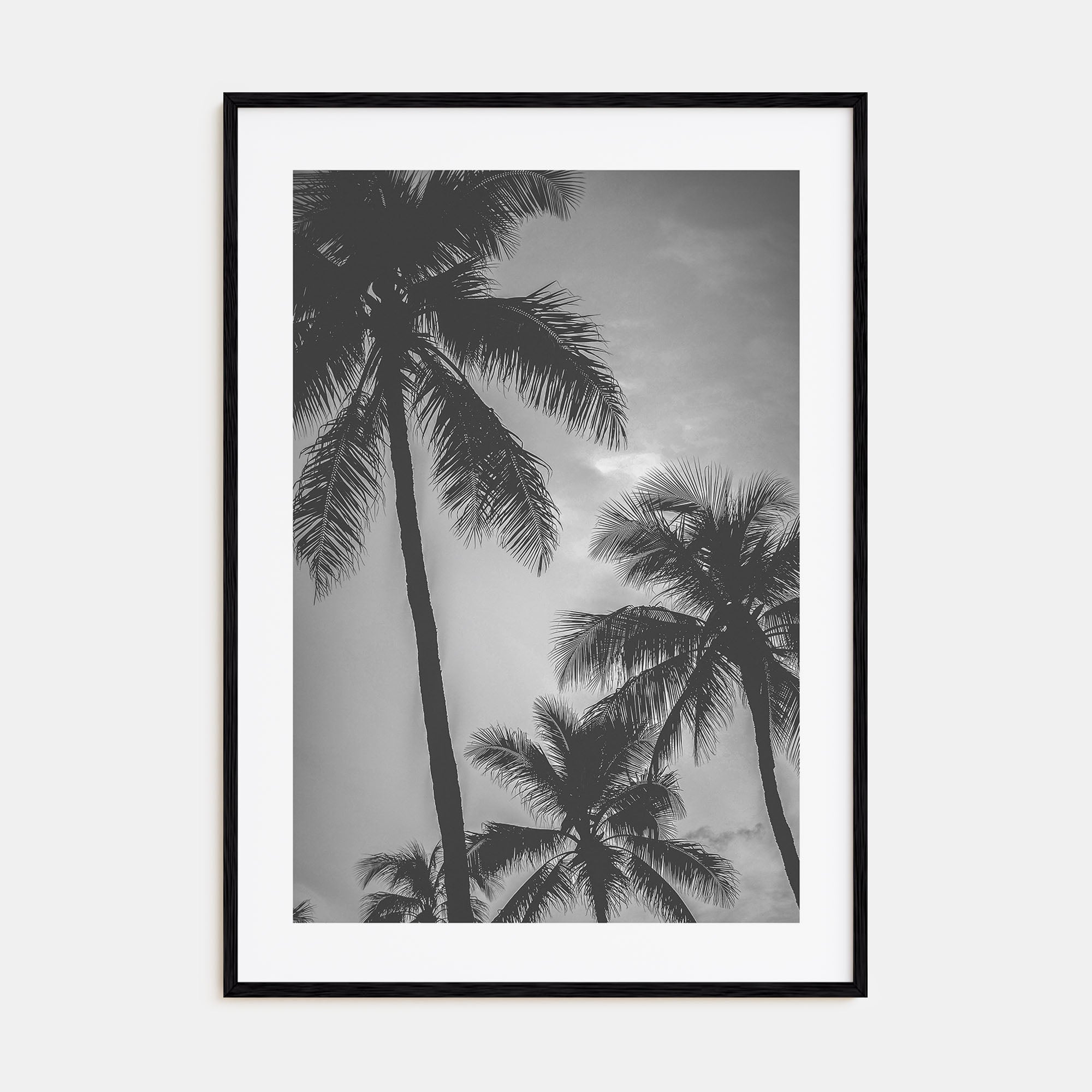 California Photo B&W No 5 Poster