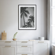 California Photo B&W No 5 Poster