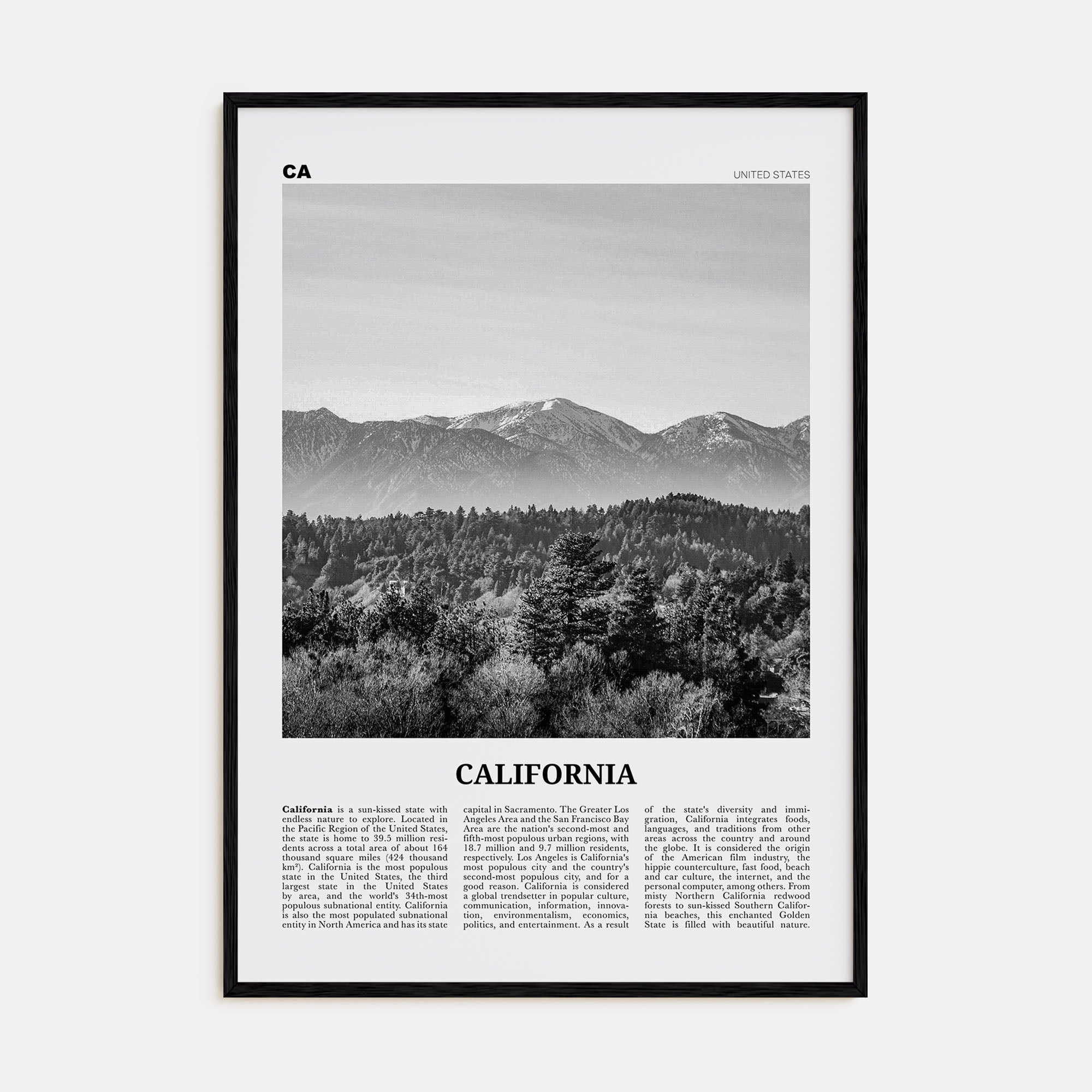 California Travel B&W No 4 Poster