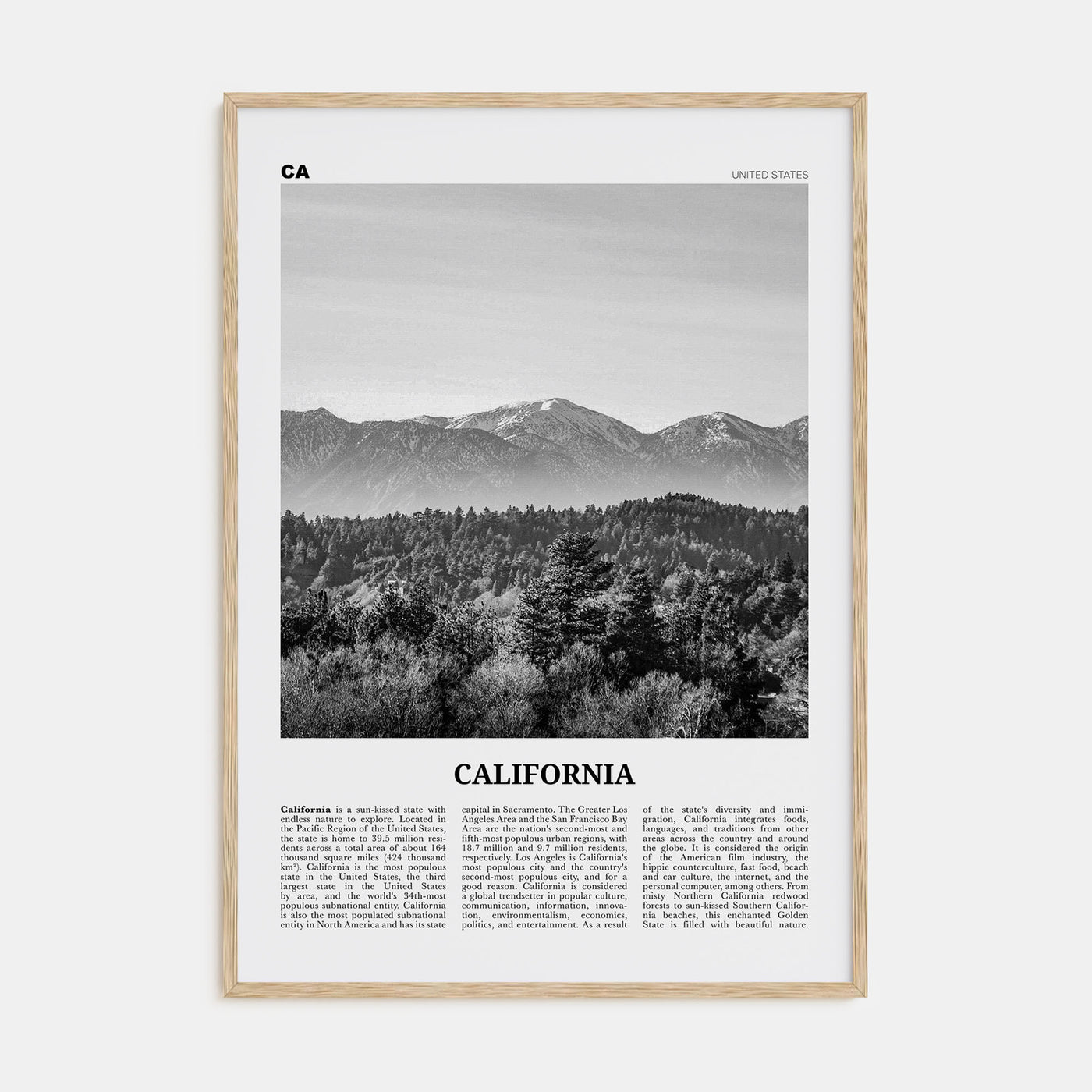 California Travel B&W No 4 Poster