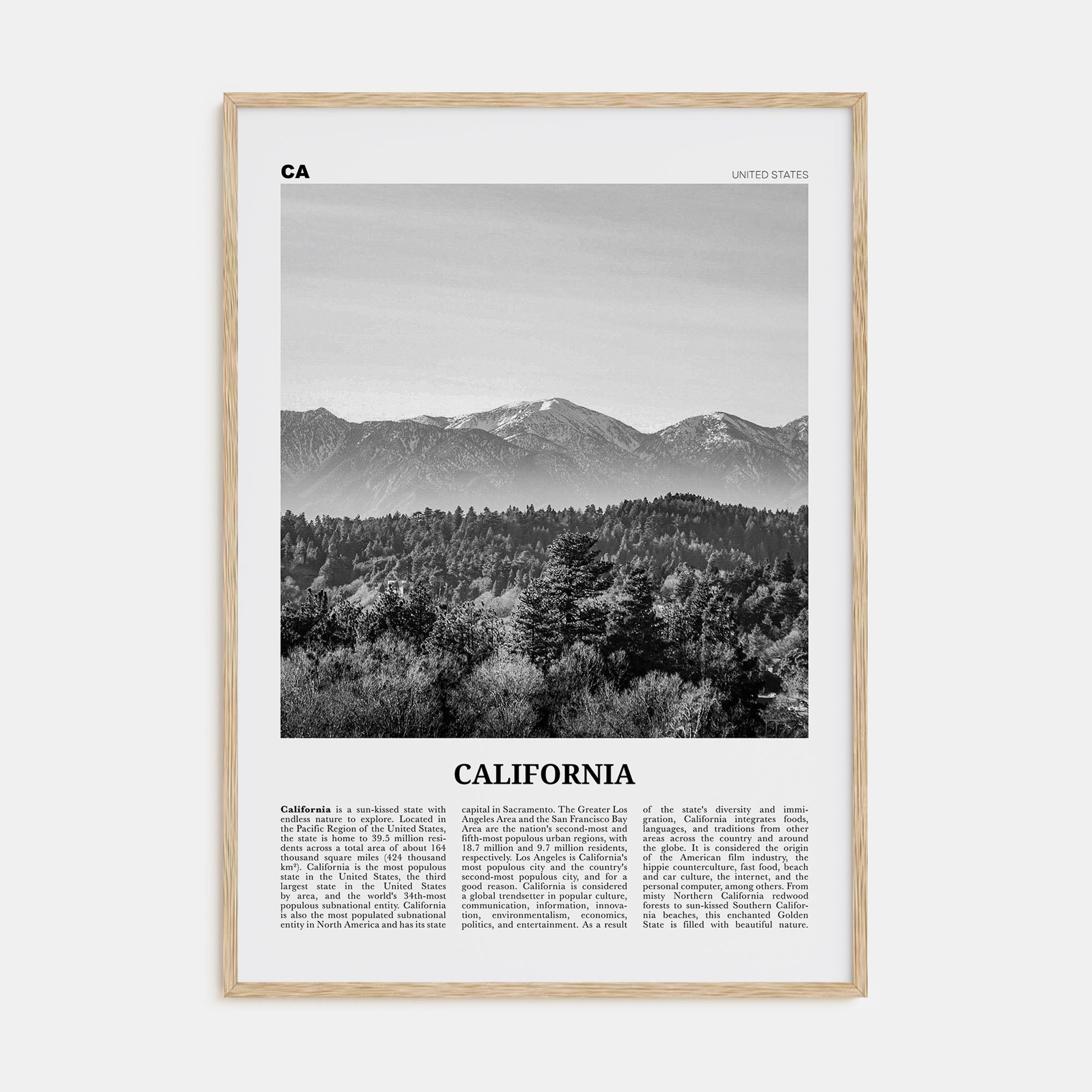 California Travel B&W No 4 Poster