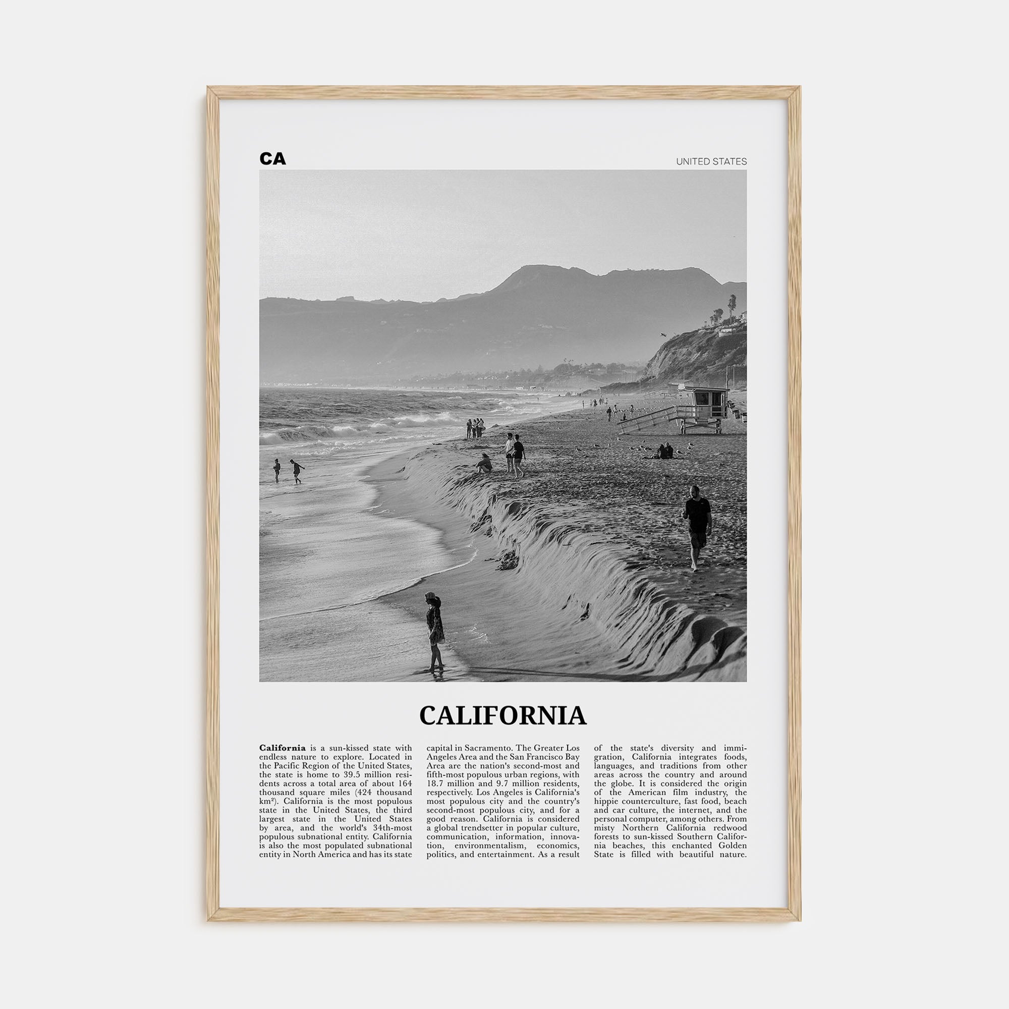 California Travel B&W No 5 Poster