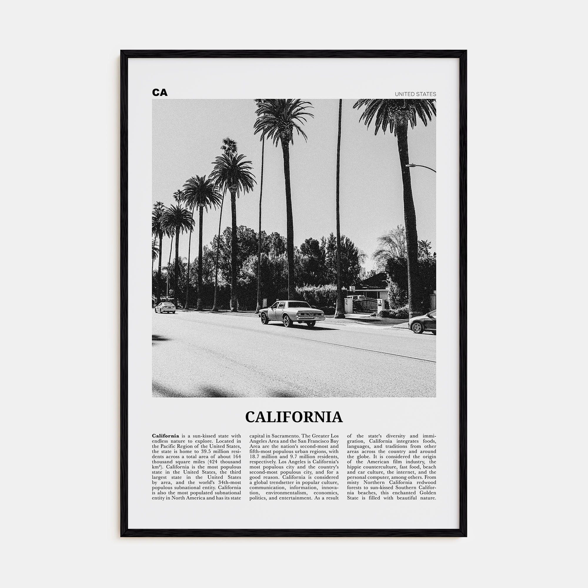 California Travel B&W No 6 Poster