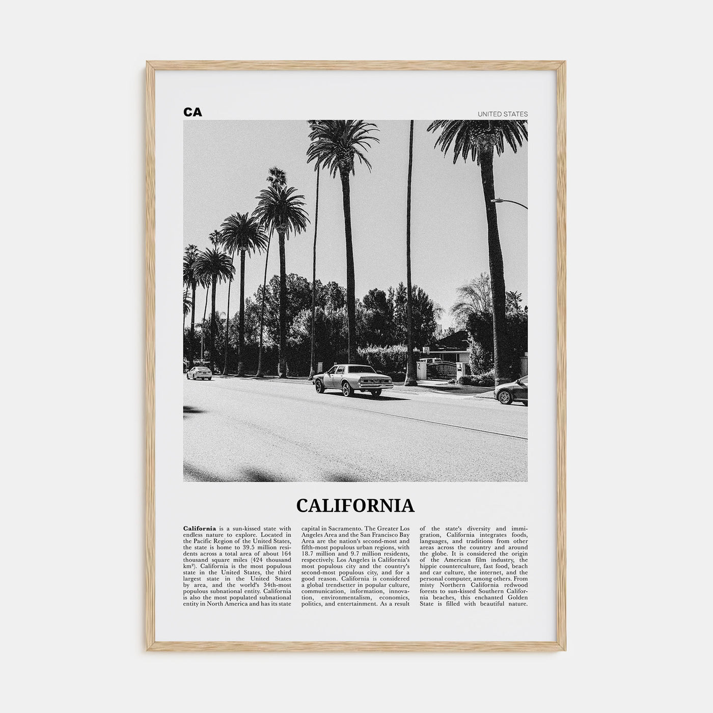 California Travel B&W No 6 Poster