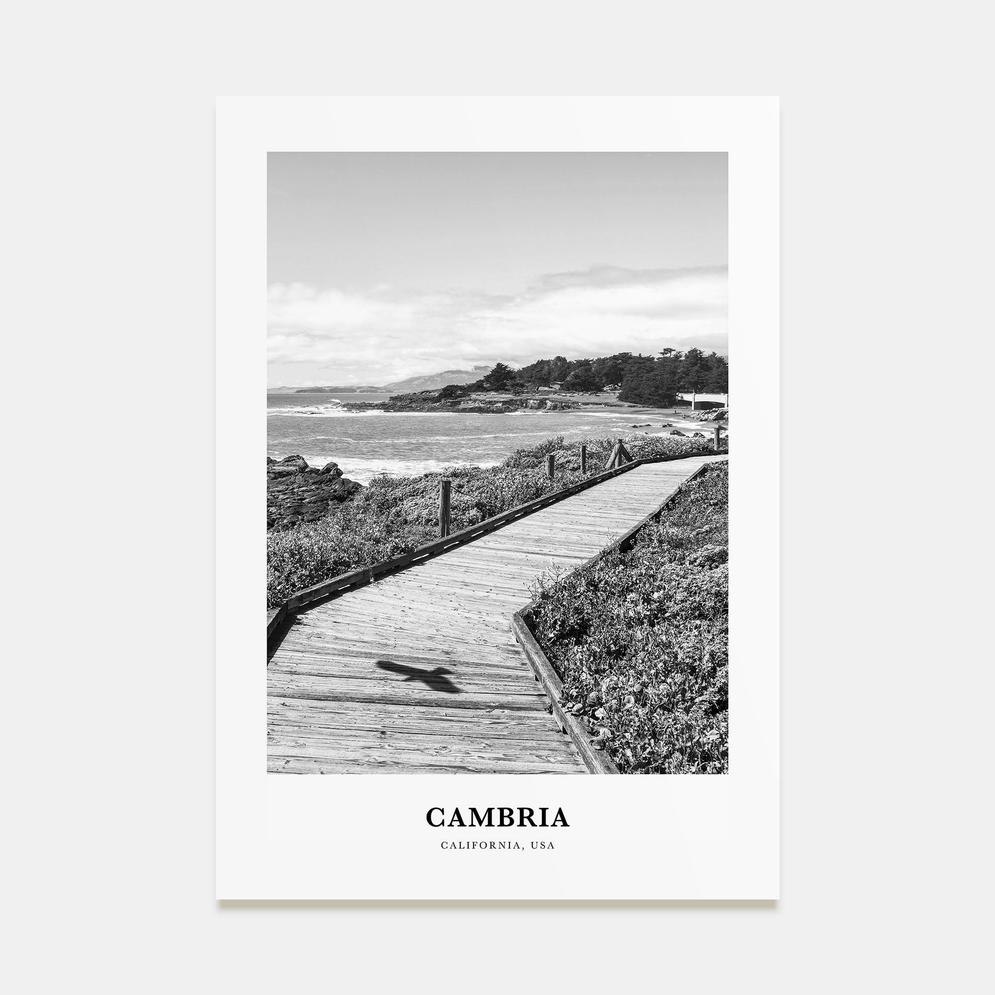 Cambria Portrait B&W Poster
