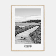 Cambria Portrait B&W Poster