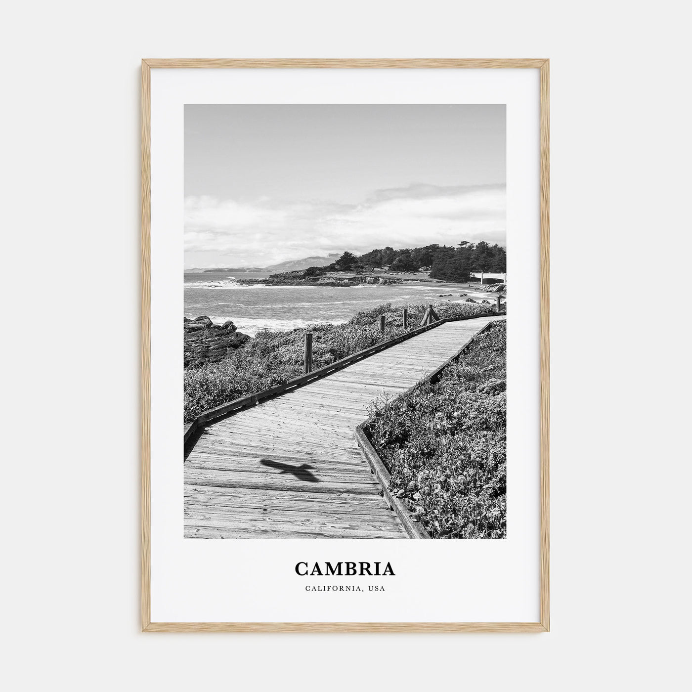 Cambria Portrait B&W Poster