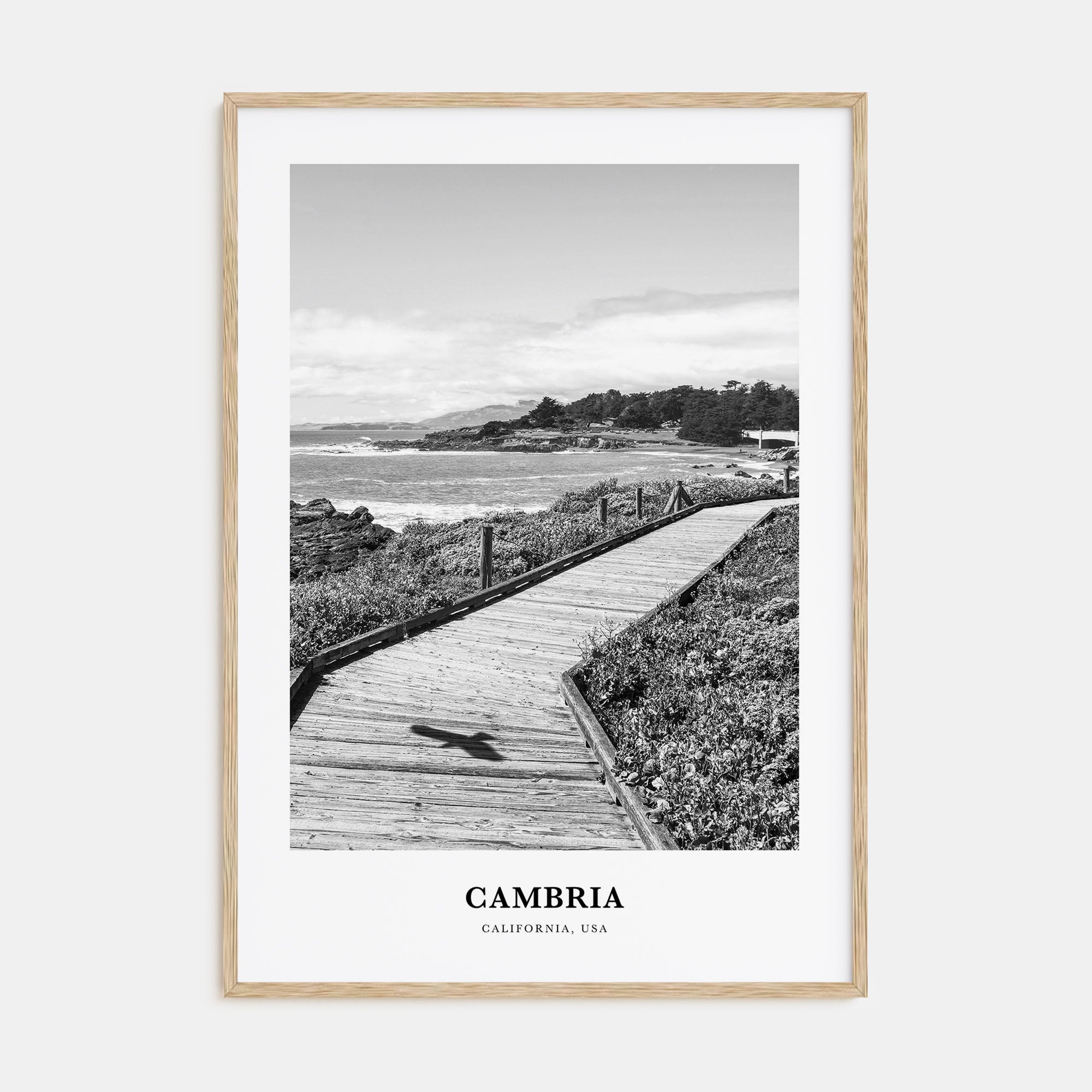 Cambria Portrait B&W Poster