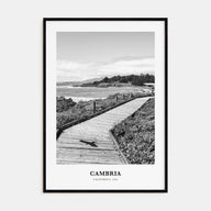 Cambria Portrait B&W Poster