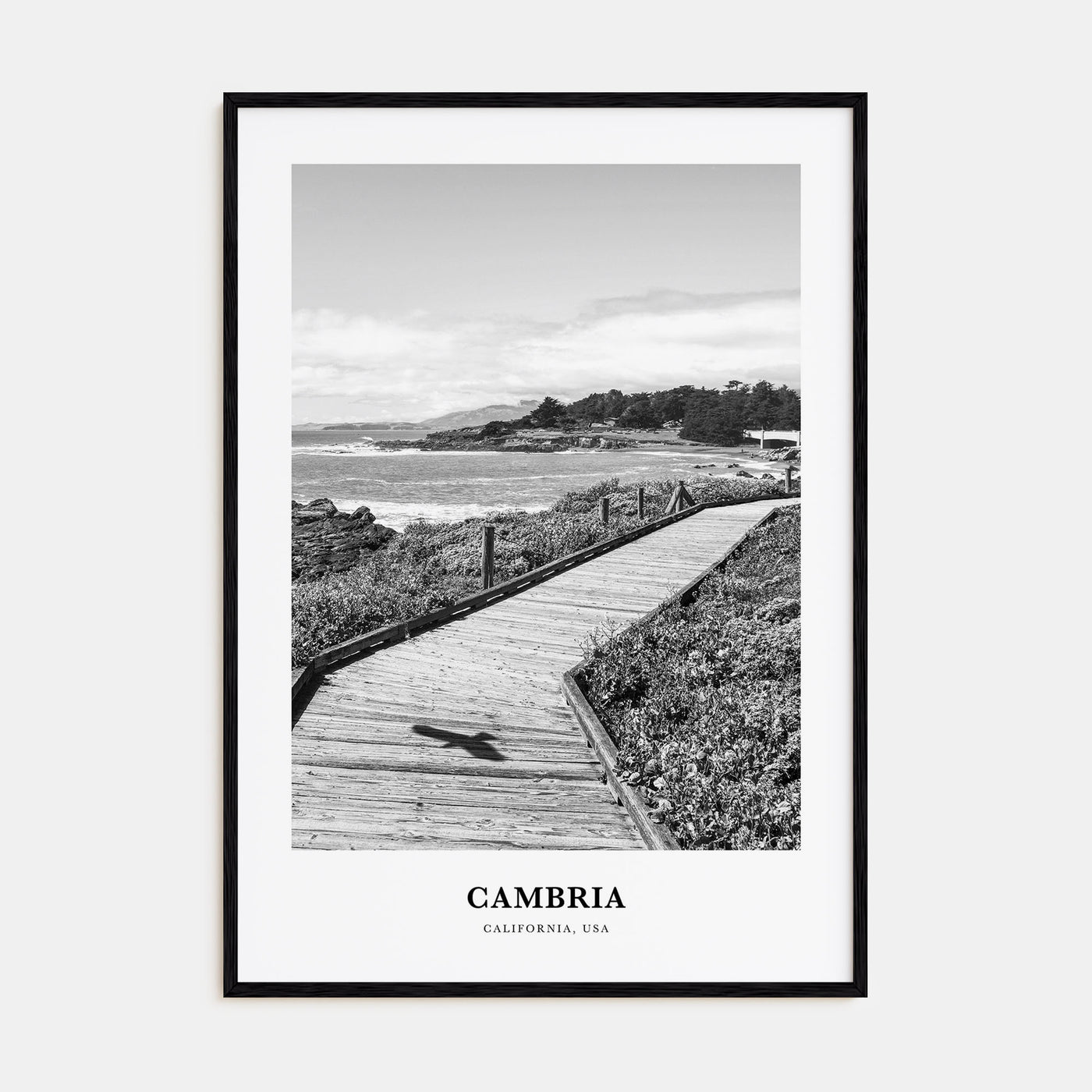 Cambria Portrait B&W Poster