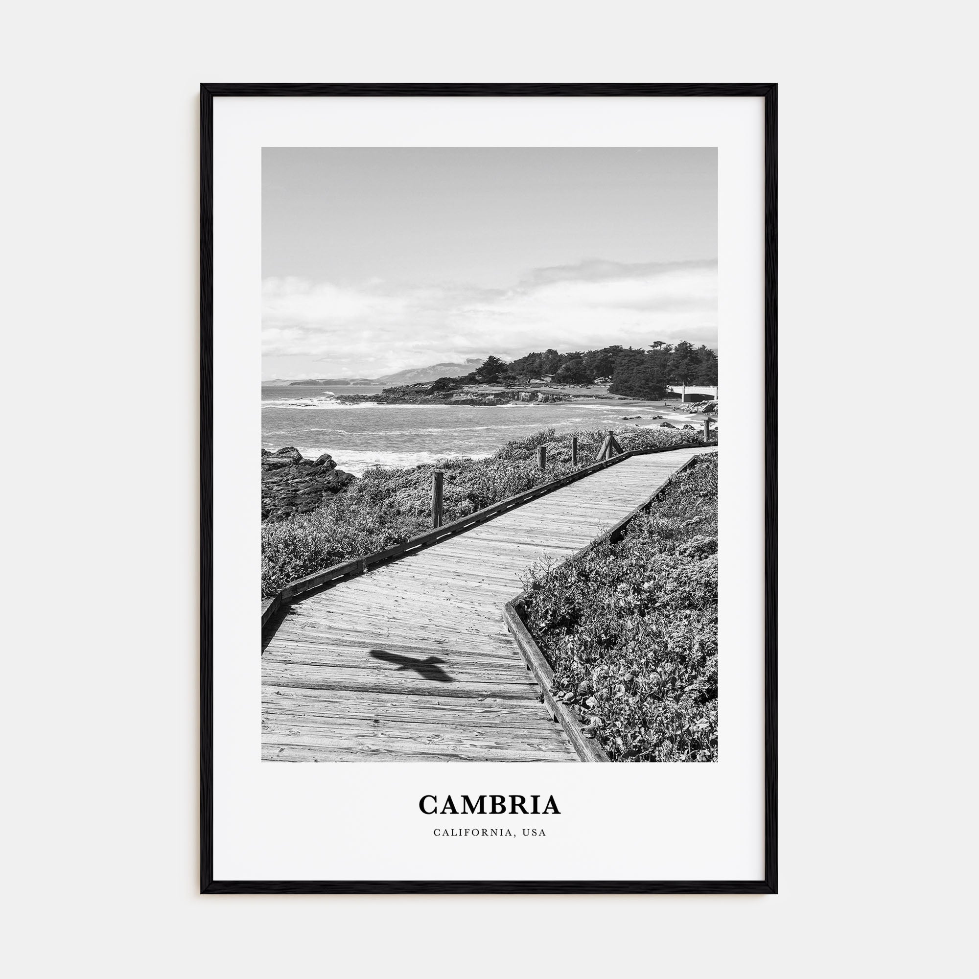 Cambria Portrait B&W Poster
