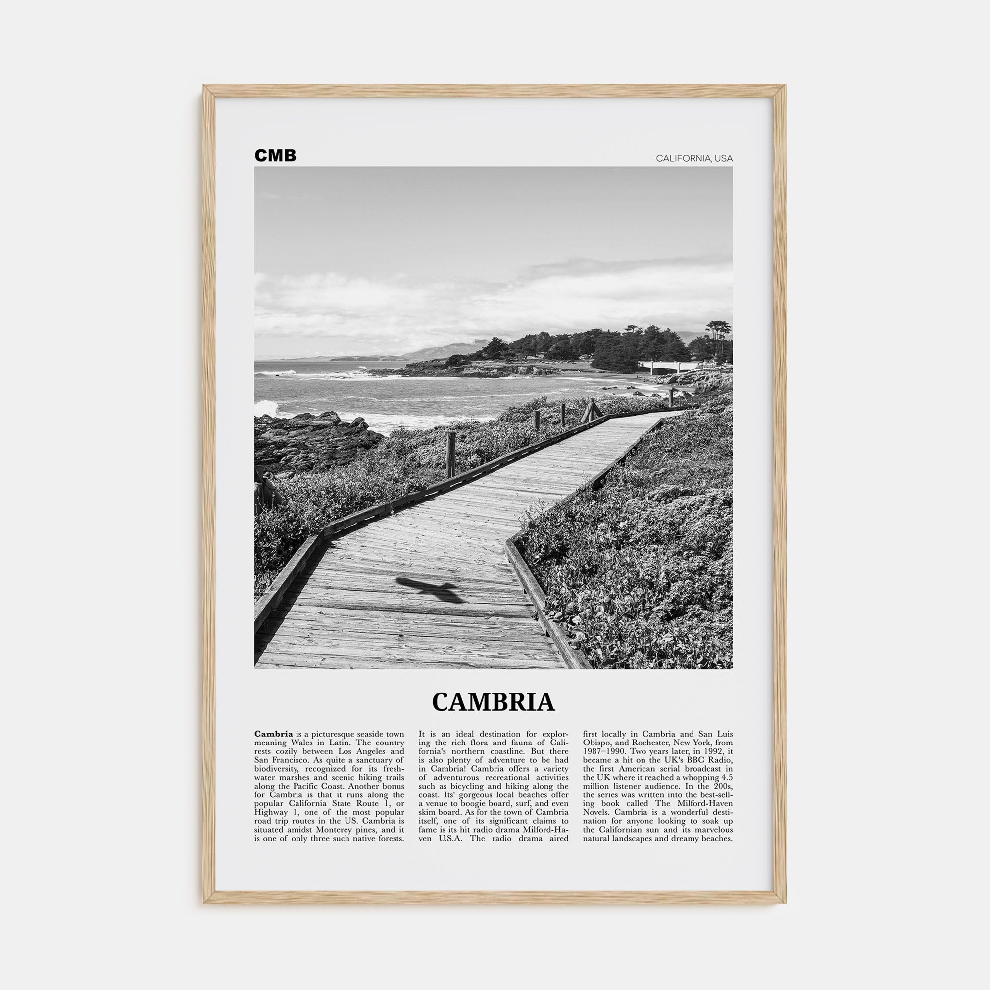 Cambria Travel B&W Poster