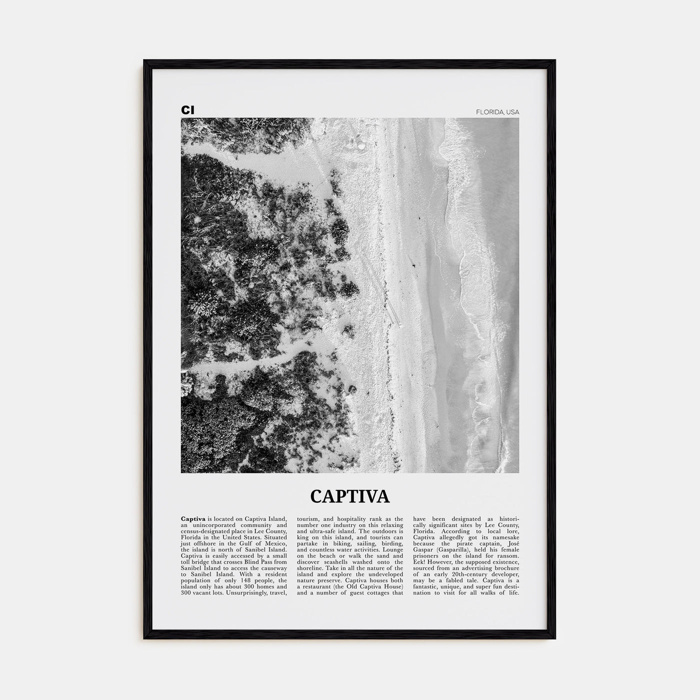 Captiva Travel B&W No 1 Poster