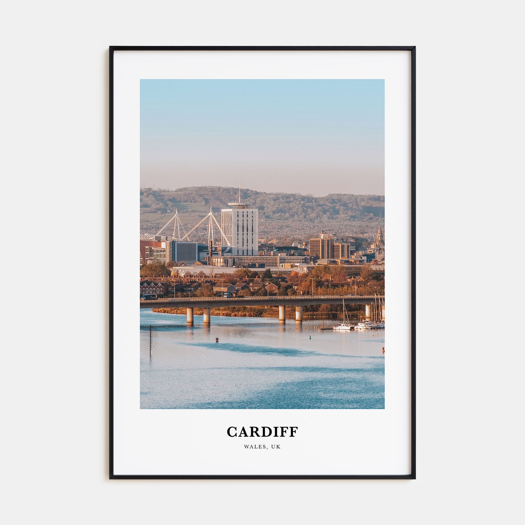 Cardiff Portrait Color Poster