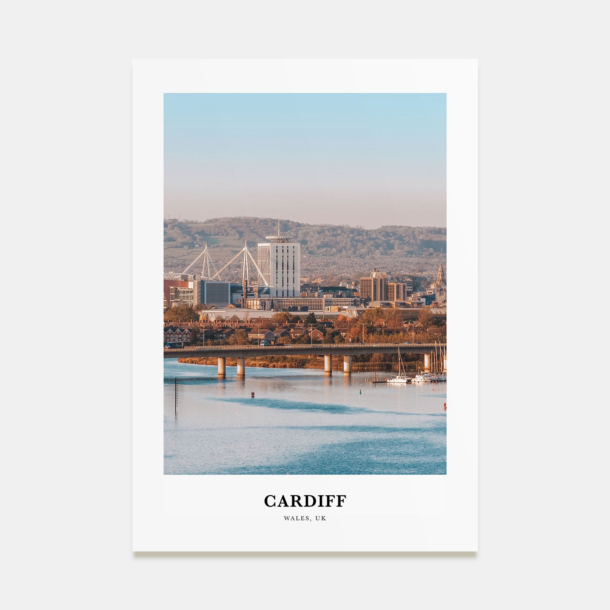Cardiff Portrait Color Poster